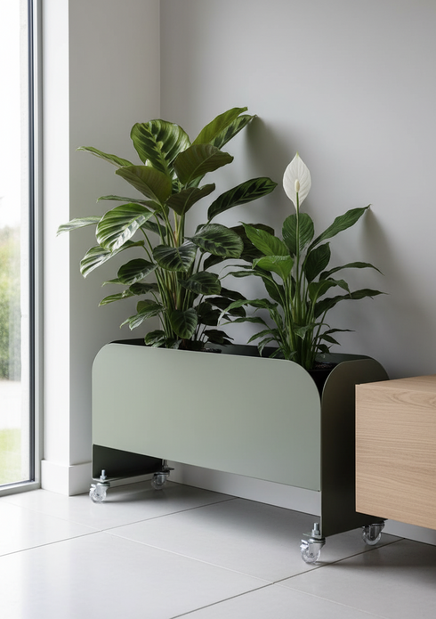 Cachepo - Jardineira Curió Botânica