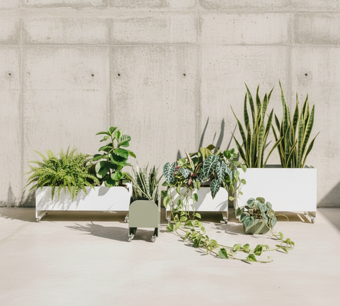 Cachepo - Jardineira Curió Botânica